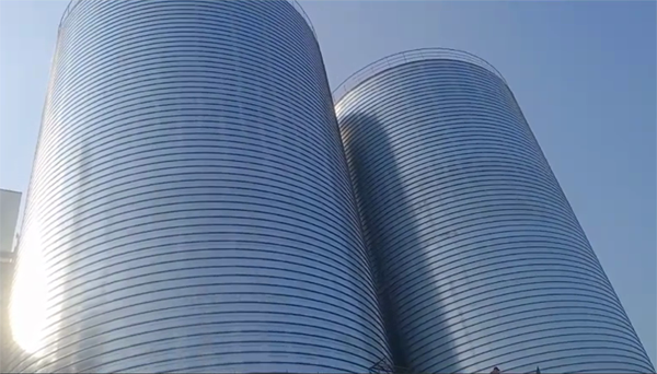 右玉2座混凝土高架卷板仓